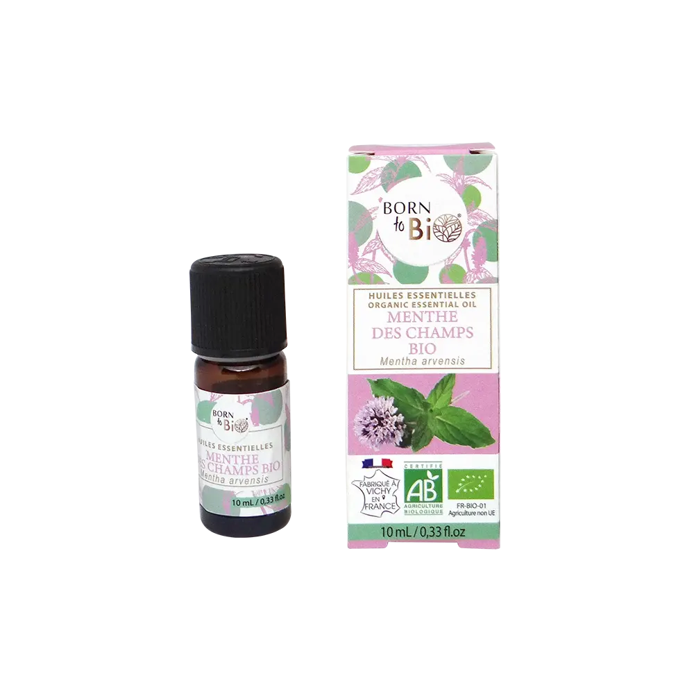 Huile essentielle Menthe des champs Certifiée Bio